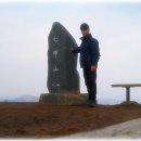 장강손짜장 이미지