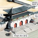 돌과나무 이미지