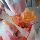 남원종로약국 이미지