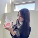 와우제 이미지