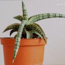 새봄산후조리원 이미지