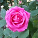 수원청소년문화센터 이미지