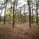 침벽캠핑장 이미지