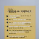 바다의기분풀빌라 이미지