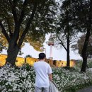 용산-이촌-191 이미지