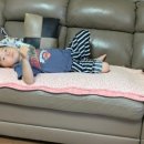 광암농장 이미지