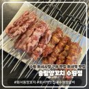 화서역 | 수원 송림양꼬치 화서역 맛집 맛후기 및 주차