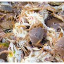 해륙수산 이미지