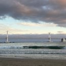 이박사생고기 이미지