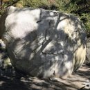 자산동118 이미지