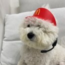 봉숙이 이미지
