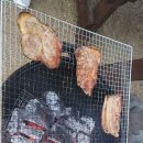 도그베이 이미지