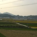 중섬 앞 이미지