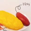 바디히트짐 이미지