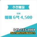 태양공인중개사사무소 네이버블로그