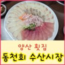 동천수산