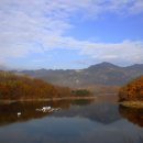 지곡리 마을회관 이미지