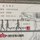 알파 트레이닝센터 이미지