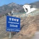 우리동네 신발이야기 | 도쿄야 우리 헤어지자