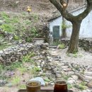 전주 신상 카페 갤러리와 정원이 있는 통창 뷰 카페 양화소록 찐 후기
