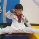 수호태권스쿨 이미지