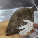 잇텐스시 이미지