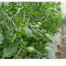 진주비료 영농조합법인 이미지