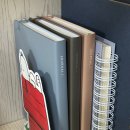 알럽포켓 | 2026 다이어리 추천 | 아이코닉 저널 J * 망그러진 곰