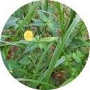 사남매농장2 이미지