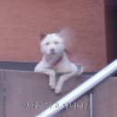 밥은먹고다니냐?
