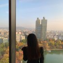 베른서울 이미지