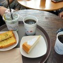 커피 온 더 레일 Daum카페