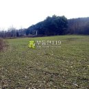 송암리 농장 이미지