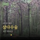 삼다수숲길 2코스 | 삼다수숲길 소요시간부터 주차까지｜사려니숲길보다 더 좋았던 제주 숲길
