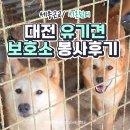 대전 유기견 보호소 센터 봉사 시온쉼터 후기