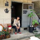 버스정류장 옆 이미지