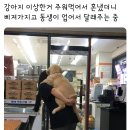 댕댕쓰 이미지