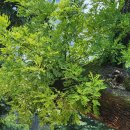 부평열린안과의원 이미지