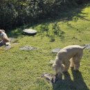 소리야네집 이미지