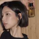 N5 (넘버5) | 샤넬 넘버5 오 드 뚜왈렛 출시?! 샤넬 향수의 전설