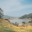 하동샬레 | 하동 여행 숙소 고민 끝! 하동샬레 솔직후기(ft. 조식, 뷰, 인테리어)