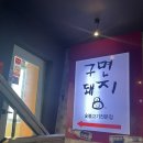 구면돼지 이미지