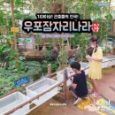 우포 잠자리 나라 이미지