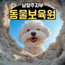 동물보육원 안산지부 이미지