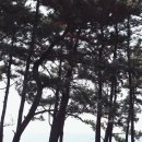 주상절리W 이미지