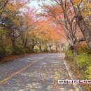 유곡리 1호 이미지