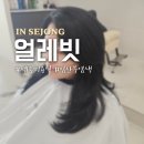 얼레빗 | 세종미용실 얼레빗 임산부 천연염색 추천