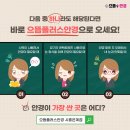 하나안경콘택트 이미지
