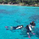 비치조아 이미지