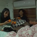 보성카정비 이미지